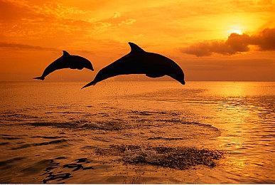 一切都回来了！《战地6》再现系列祖传长脖子bug